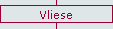 Vliese